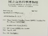 登錄號:F0017442藏品圖，第2張