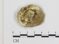 登錄號:F0017442藏品圖，第1張