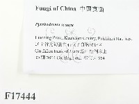 登錄號:F0017444藏品圖，第2張