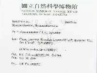 登錄號:F0017444藏品圖，第3張