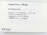 登錄號:F0017445藏品圖，第2張