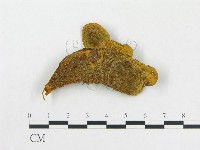 登錄號:F0017445藏品圖，第1張