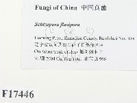 登錄號:F0017446藏品圖，第2張