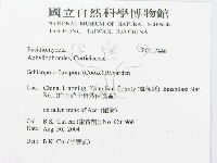 登錄號:F0017446藏品圖，第3張