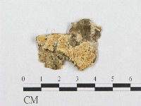 登錄號:F0017446藏品圖，第1張