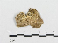 登錄號:F0017446藏品圖，第4張