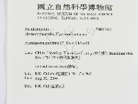 登錄號:F0017447藏品圖，第3張
