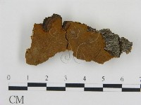 登錄號:F0017447藏品圖，第1張