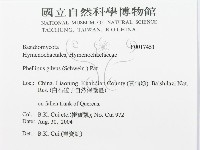登錄號:F0017451藏品圖，第3張
