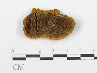 登錄號:F0017451藏品圖，第1張