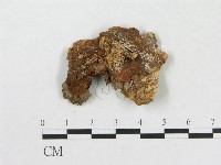 登錄號:F0017452藏品圖，第1張