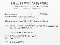 登錄號:F0017454藏品圖，第3張