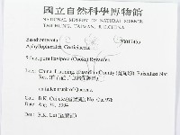 登錄號:F0017455藏品圖，第3張