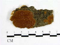登錄號:F0017455藏品圖，第1張