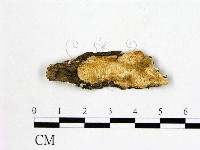 登錄號:F0017456藏品圖，第1張