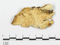 登錄號:F0017458藏品圖，第1張