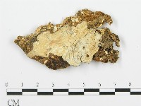 登錄號:F0017458藏品圖，第4張