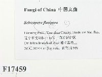 登錄號:F0017459藏品圖，第2張