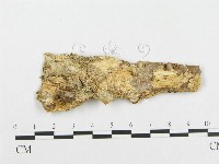 登錄號:F0017459藏品圖，第1張
