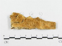 登錄號:F0017459藏品圖，第4張
