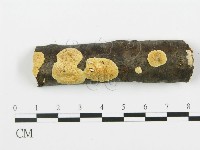 登錄號:F0017460藏品圖，第1張