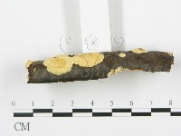 登錄號:F0017460藏品圖，第5張