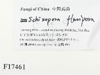登錄號:F0017461藏品圖，第2張