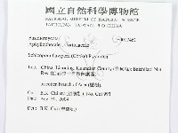 登錄號:F0017461藏品圖，第3張