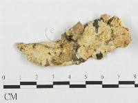 登錄號:F0017461藏品圖，第1張