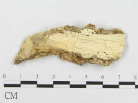 登錄號:F0017461藏品圖，第4張