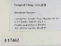 登錄號:F0017462藏品圖，第2張