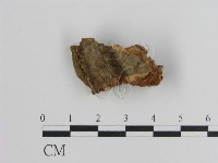 登錄號:F0017462藏品圖，第1張