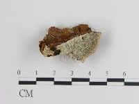 登錄號:F0017462藏品圖，第4張