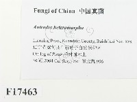 登錄號:F0017463藏品圖，第2張
