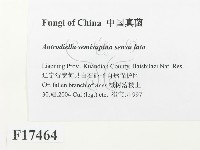 登錄號:F0017464藏品圖，第2張