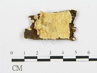 登錄號:F0017464藏品圖，第1張