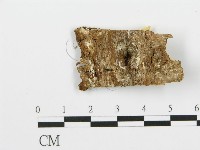登錄號:F0017464藏品圖，第4張