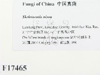 登錄號:F0017465藏品圖，第2張
