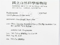 登錄號:F0017465藏品圖，第3張