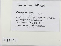 登錄號:F0017466藏品圖，第2張