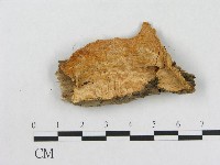 登錄號:F0017466藏品圖，第4張