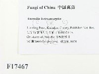 登錄號:F0017467藏品圖，第2張