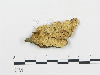 登錄號:F0017467藏品圖，第1張