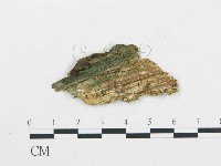 登錄號:F0017467藏品圖，第4張