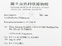 血紅密孔菌藏品圖，第3張