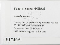 登錄號:F0017469藏品圖，第2張