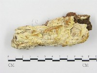 登錄號:F0017469藏品圖，第1張