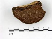登錄號:F0017470藏品圖，第3張