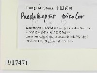 登錄號:F0017471藏品圖，第2張