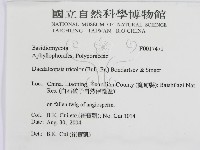登錄號:F0017471藏品圖，第3張